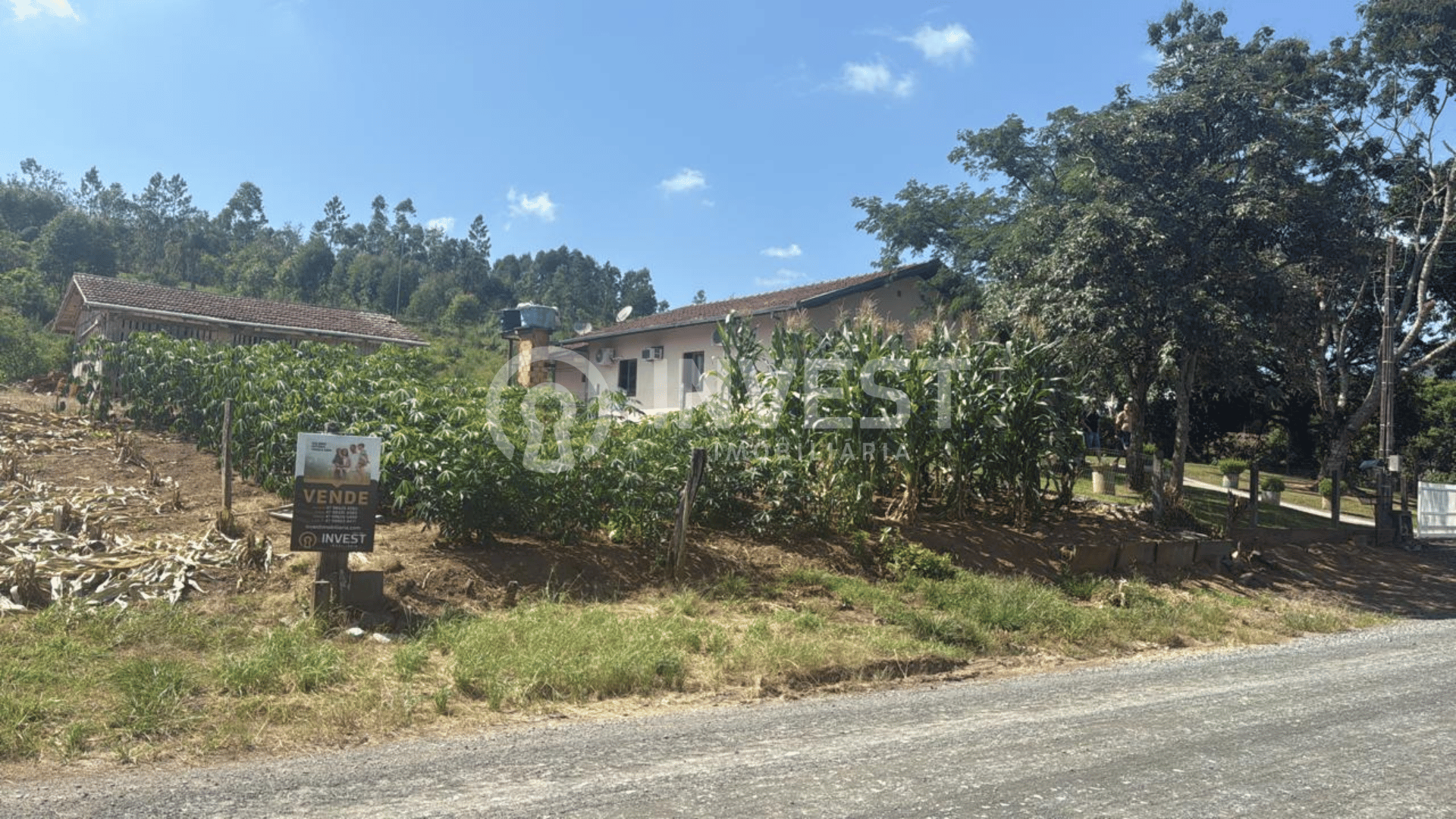 🌳 Terreno em Petrolândia: Sua Oportunidade!