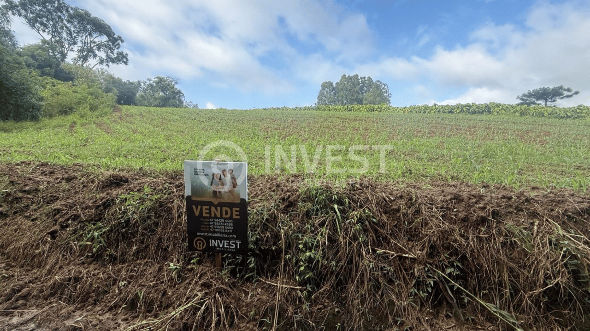 🌾 Propriedade Rural Premium: 12,7 Hectares de Alta Produtividade!