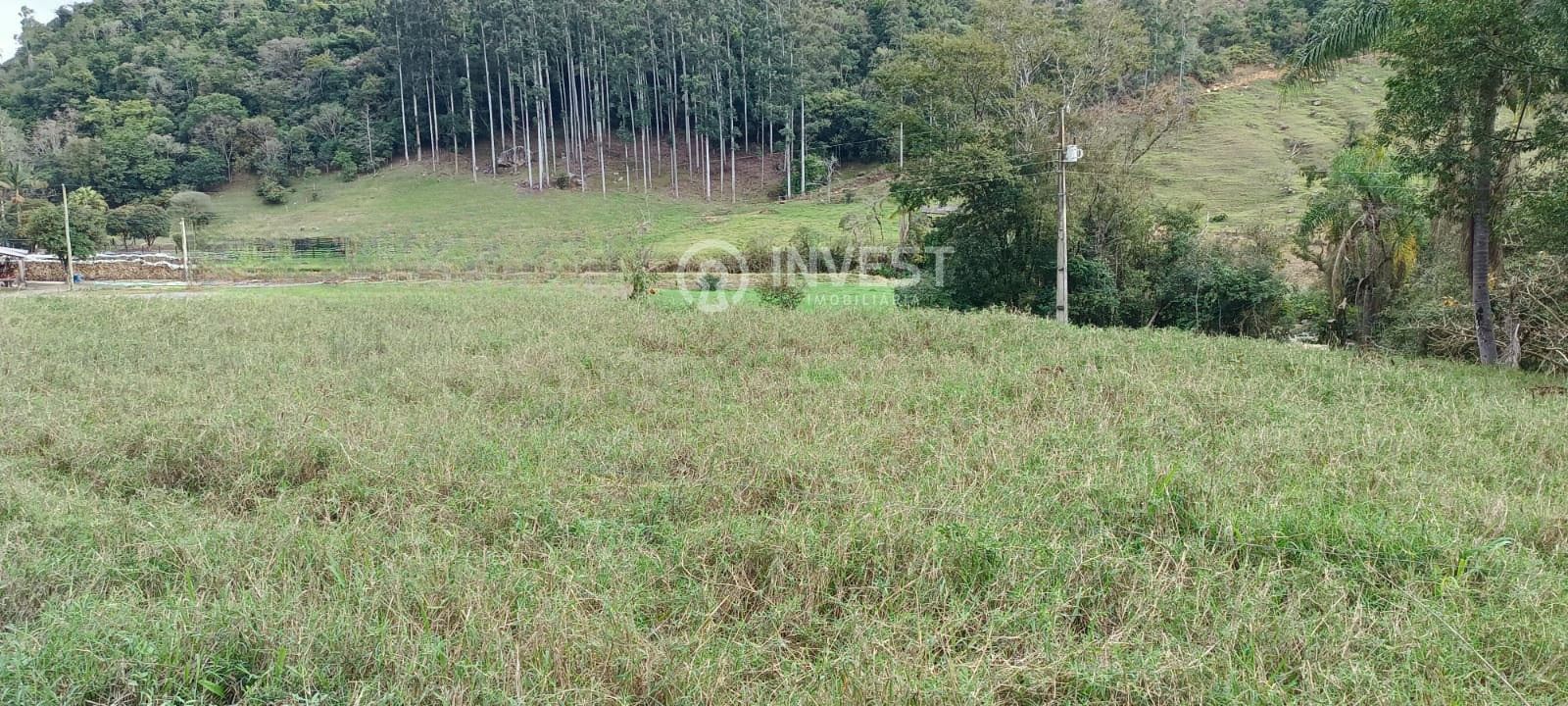 Excelente Terreno à Venda em Vidal Ramos