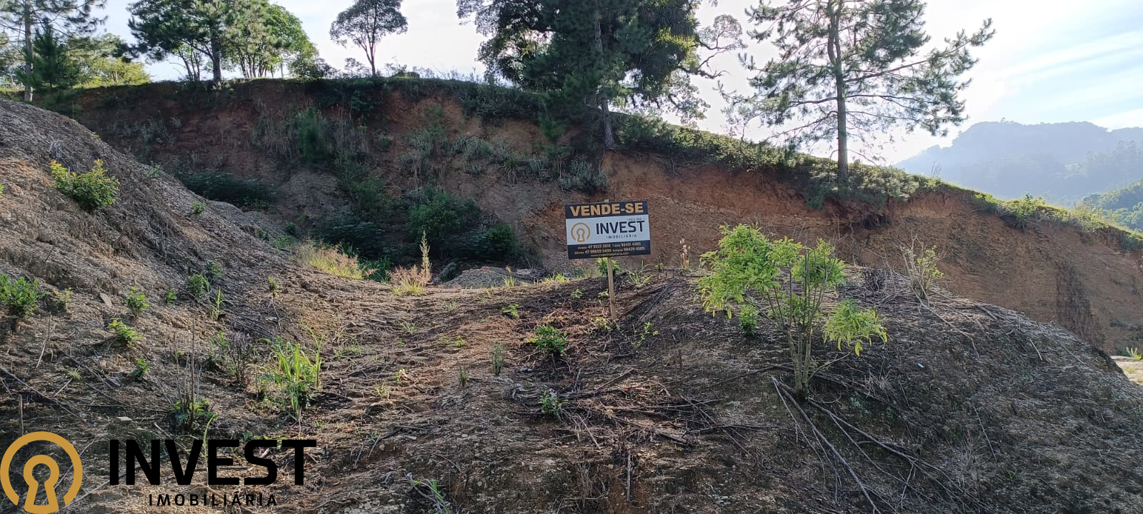 Terreno