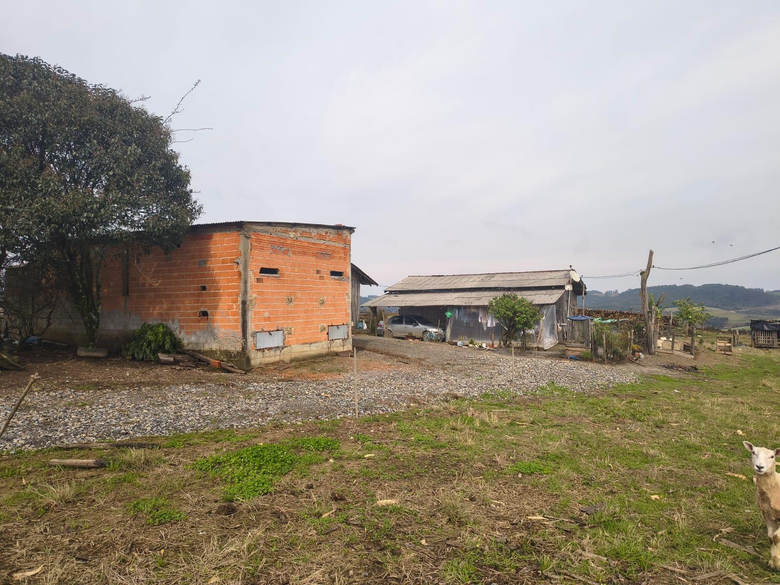 Terreno