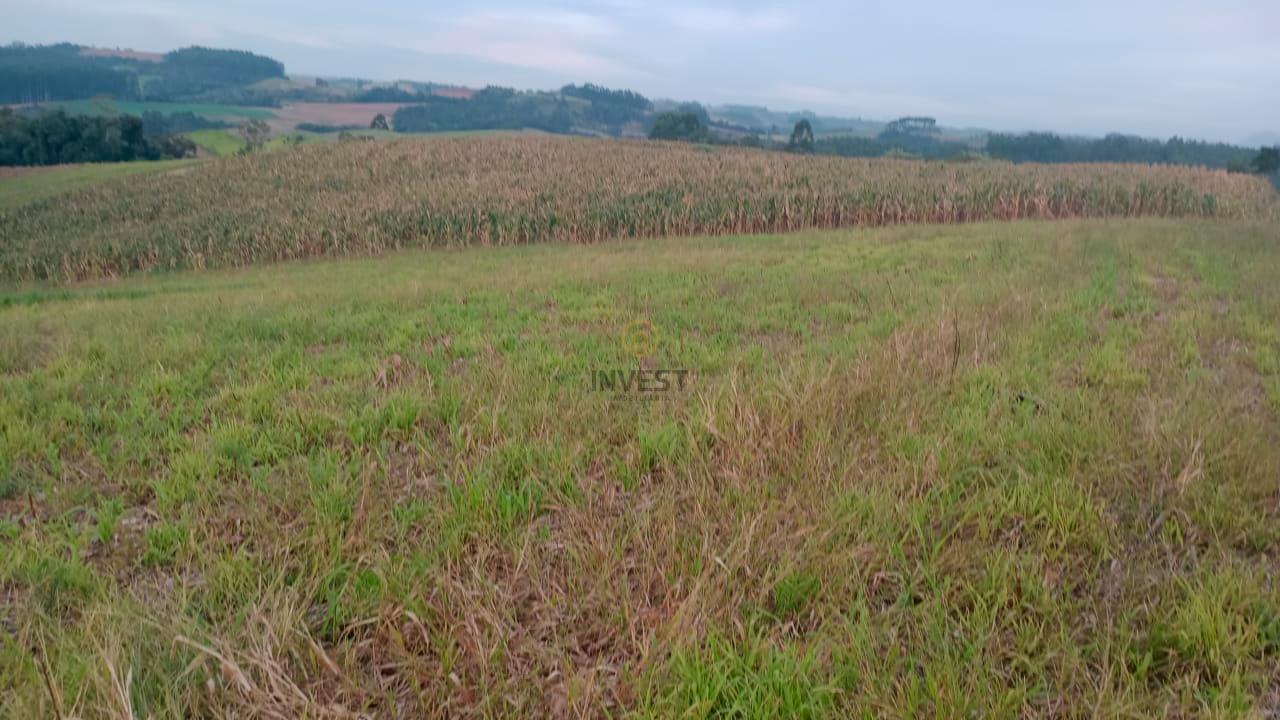 TERRENO AGRÍCOLA