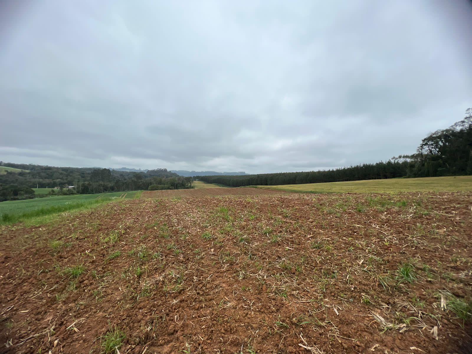 TERRENO RURAL