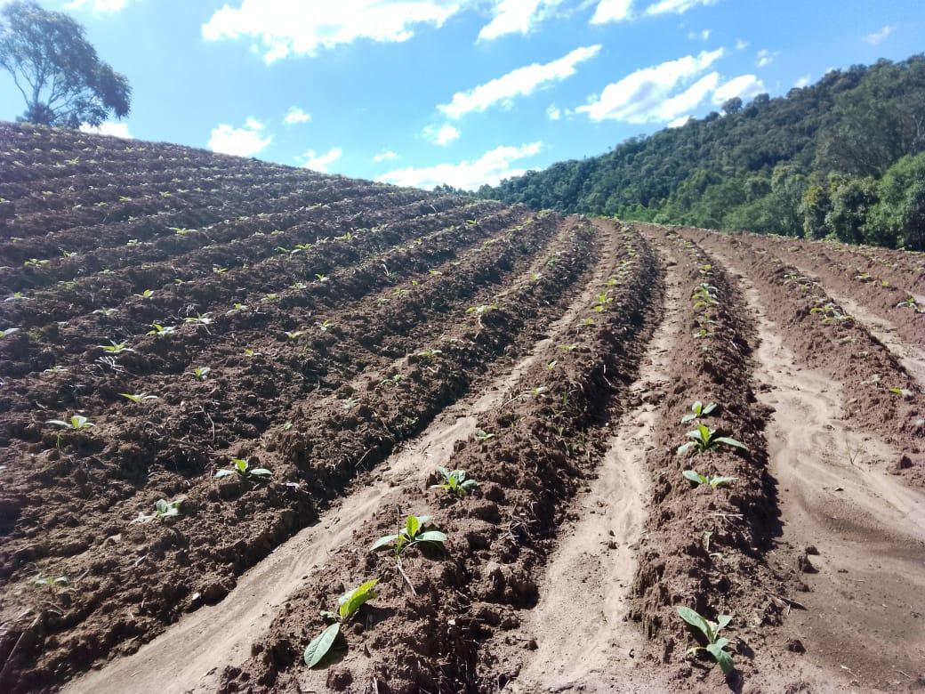 TERRENO RURAL