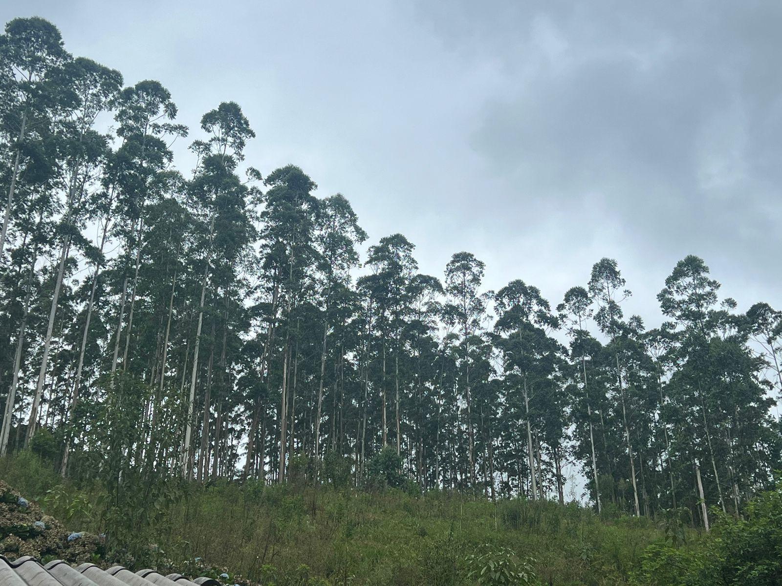 TERRENO RURAL
