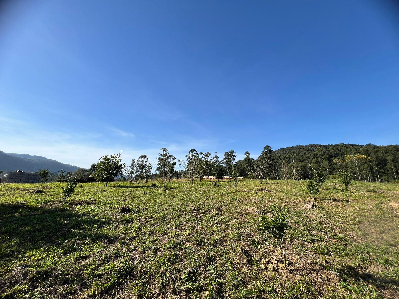 TERRENO RURAL