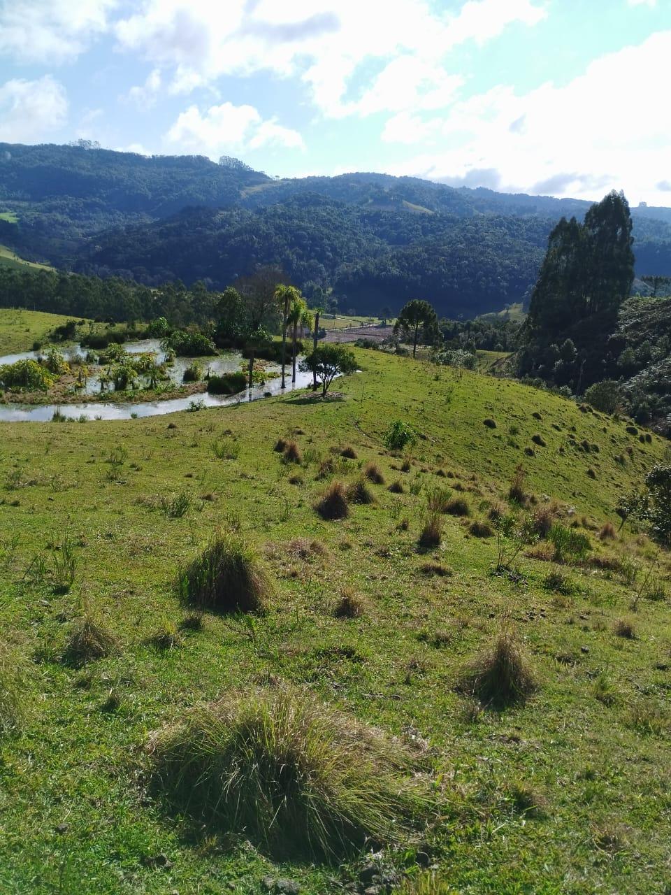 TERRENO RURAL