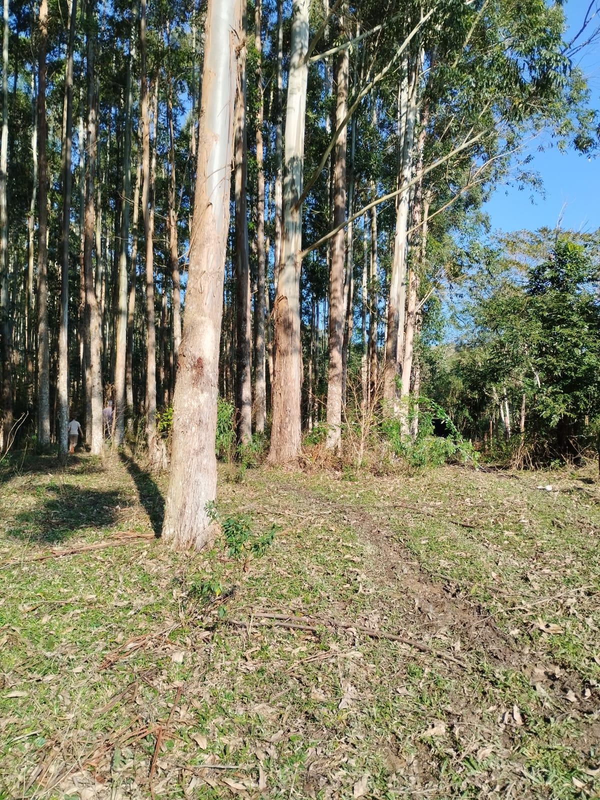 TERRENO RURAL